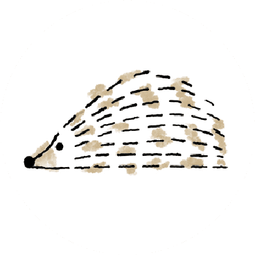 ブラウン パイド