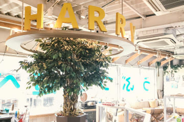 HARAJUKU terrace店