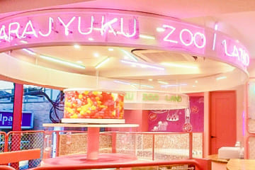 HARRY HARAJUKU KAWAii ZOO店