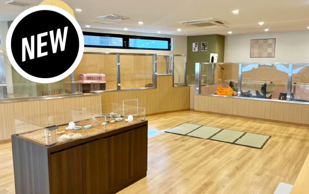 浅草店