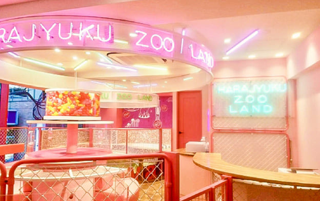 原宿kawaii店